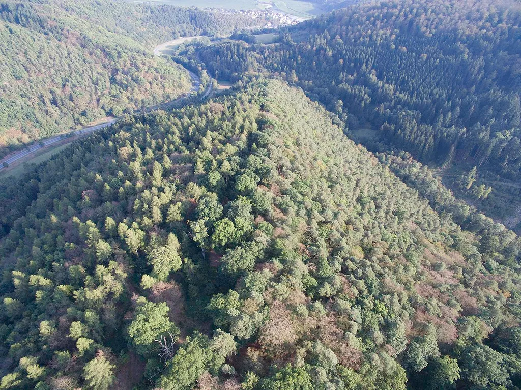 Ansicht Berksporn Höckeslburg von Nord-West