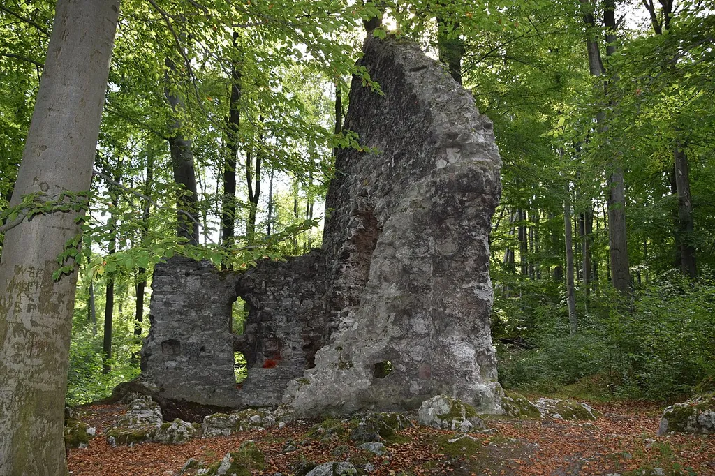 Die Grasburg bei Rottleberode - Chor