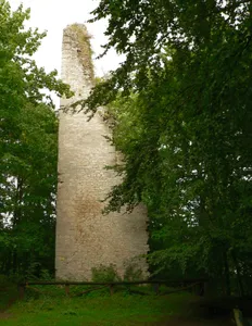 Burgruine Wohlenstein