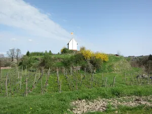 Kenzingen Castle