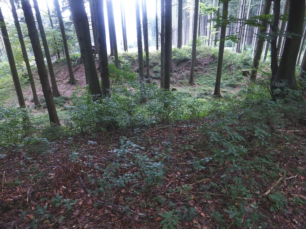 Wallburg Haunsberg (2)