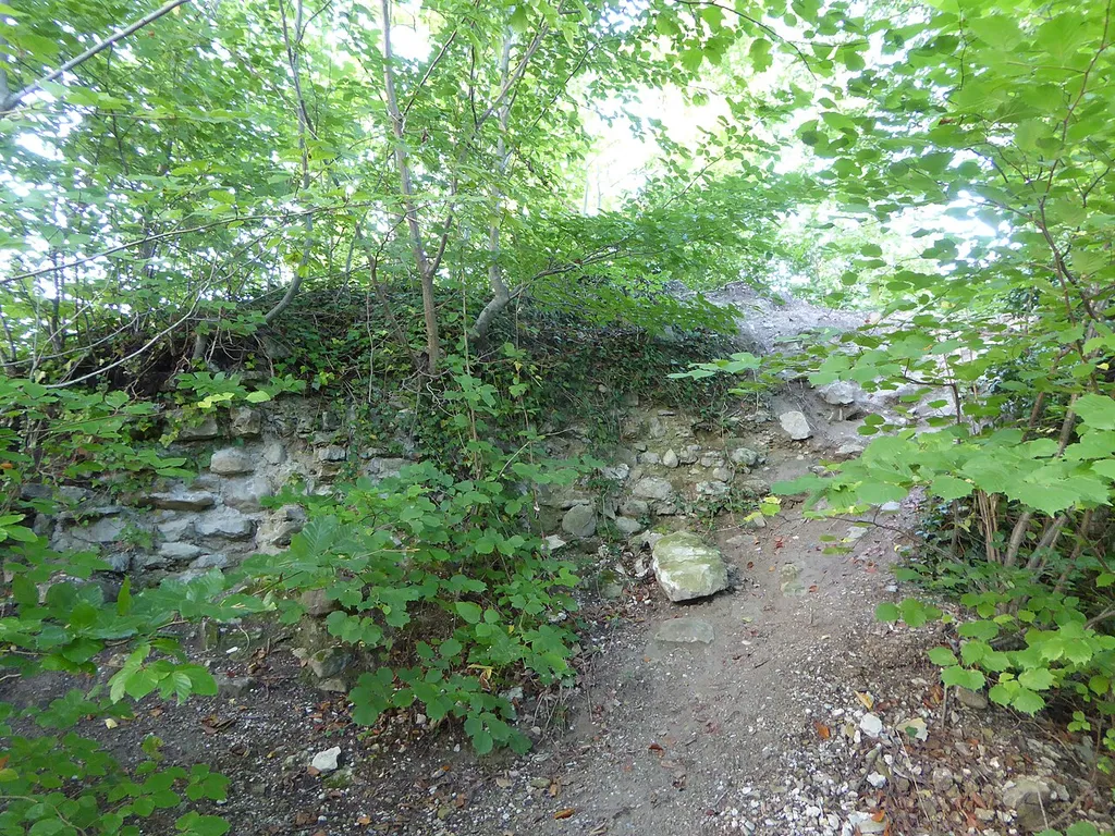 Ruine Neuenburg (Thurgau) Heutige Umgebung mit Mauerresten am Standort der Ruine Neuenburg.