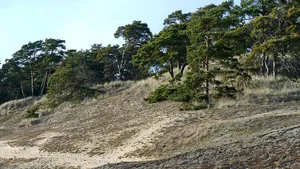 Mecklenburgisches Elbetal