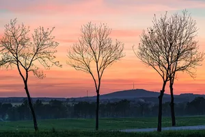 Collmberg und Oschatzer Kirchenwald