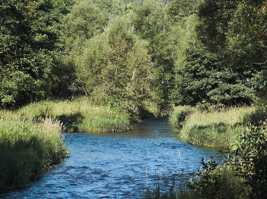 Harzer Bachtäler