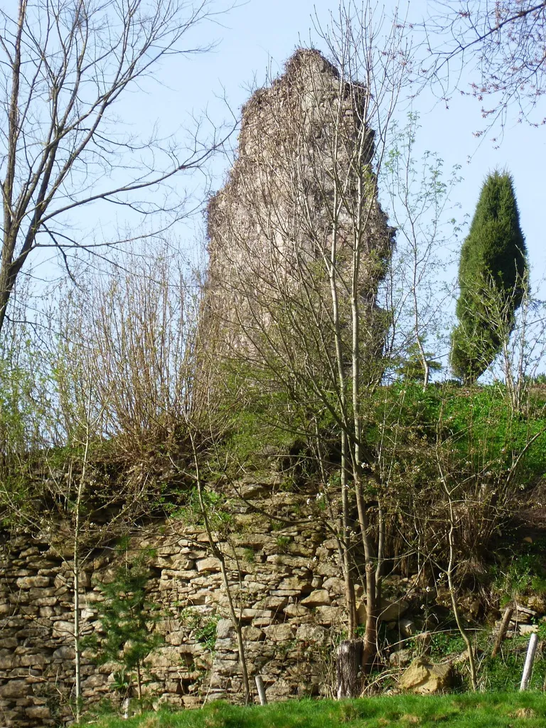 Burgruine Steinbach