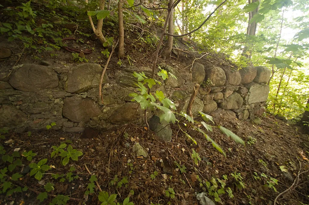 fragmenty murów przyziemia zamku Miłakowo, Miłakowo (miasto)