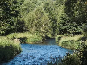 Harzer Bachtäler