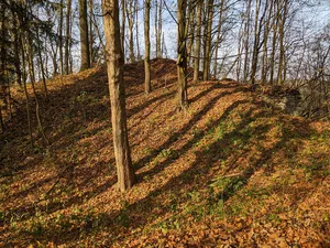 Rýzmburk