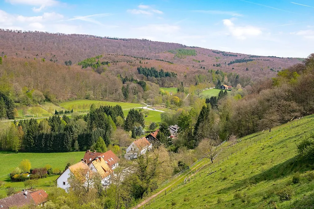 Blick vom Burgberg Schwalenberg nach Nordosten; im Hintergrund der Schwalenberger Wald, im Tal das LSG Lipper Bergland mit Steinheimer Becken, Blomberger Höhen, Sabbenhauser Mulde und Schwalenberger Höhen, rechts im Bild das LSG Burgberg