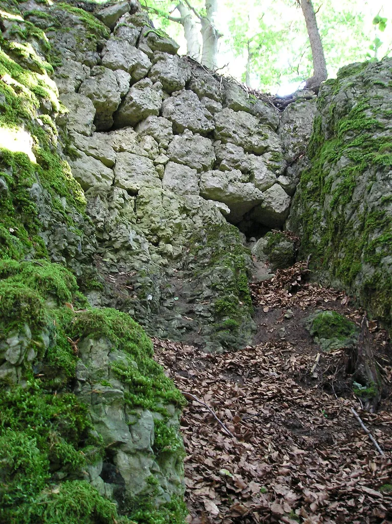 Small wall remenants of the ruins of the castle that was located on top of the Schlossberg next to Haidhof in the Franconian Swiss mountain range, Bavaria. Germany.