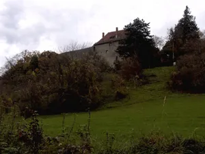Burg Hohenfriedingen