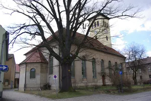 Naturdenkmal Stieleiche Schulstraße 14 (an der Kirche) Flur 6, Flurstück 55 in Golßen