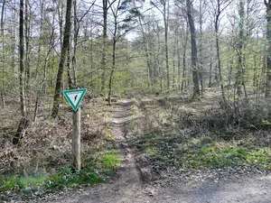 Burgbrünnele