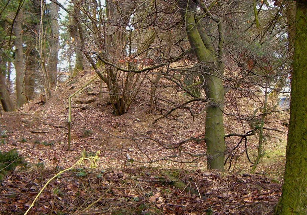 Burg Braunshorn, Sicht von Südwesten50°5′27.6″N 7°30′53.7″E / 50.091°N 7.514917°E / 50.091; 7.514917