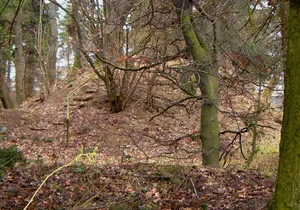 Burg Braunshorn