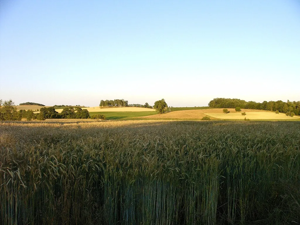 Blick auf Endmoränenhügel Rübrichsberg und Fuchsberg