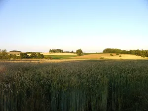 Endmoränenlandschaft zwischen Taucha und Eilenburg