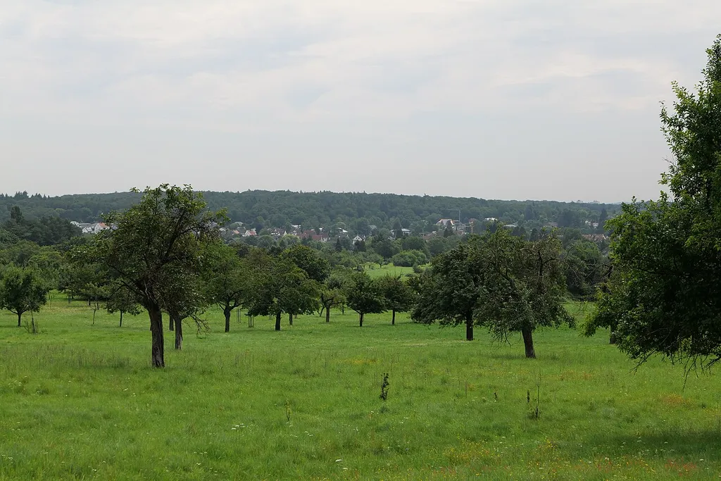 Landschaftsschutzgebiet Kirdorfer Feld bei Bad Homburg‎.