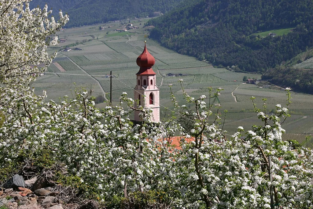 Kirchturm von Tschars in der Apfelblüte