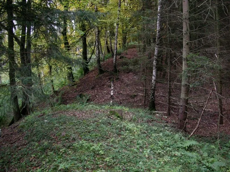 Walltor