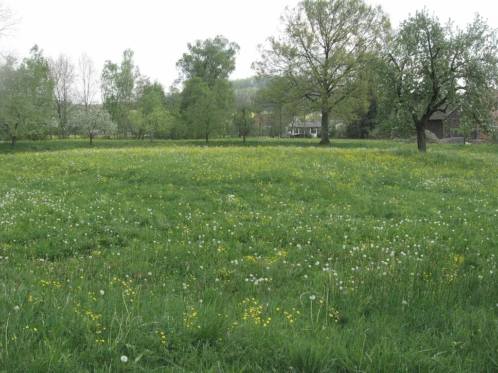 Der Burgstall der Wasserburg Kottspiel, vom Nordwesteck des noch erkennbaren Damms aus in Richtung Südsüdost gesehen, über den heute ein Graswirtschaftsweg führt. Im Bereich der beginnenden Bäume von links bis zur Mitte erkennt man die innere Dammböschung im Osten und Süden. Der zentrale Hügel im Dammgeviert erhebt sich nur sehr flach. Die Höhenunterschiede im Gelände sind heute geringer als 2 m. Der Burgstall liegt in einer Nordostschlinge der Bühler, die einen Radius von etwa 100 m hat, zwischen dem Weiler Kottspiel und dem Fluss.