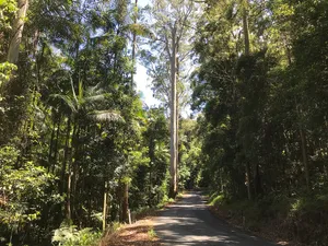 Ulidarra National Park