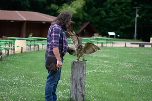 Zoofalknerei Neunkirchen