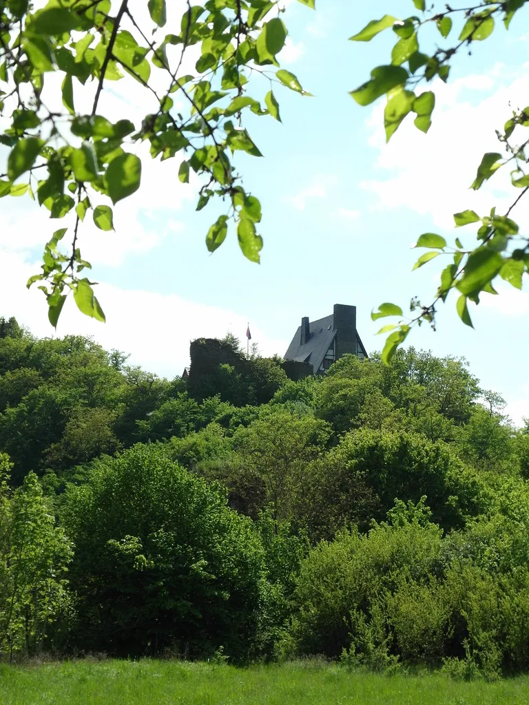 de:Burg Waldeck (Hunsrück); Oberburg von der Unterburg aus gesehen