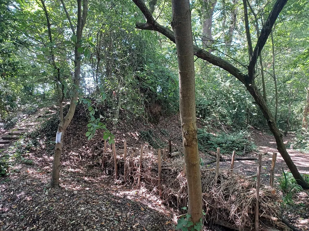 Chichester Dyke at Brandy Hole Copse, Chichester, West Sussex, England. Iron Age boundary, Scheduled Monument.
