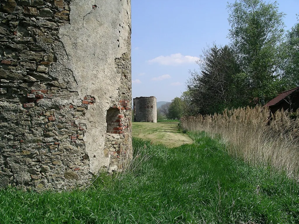 Ruins of Raipoltenbach castle, Lower Austria.