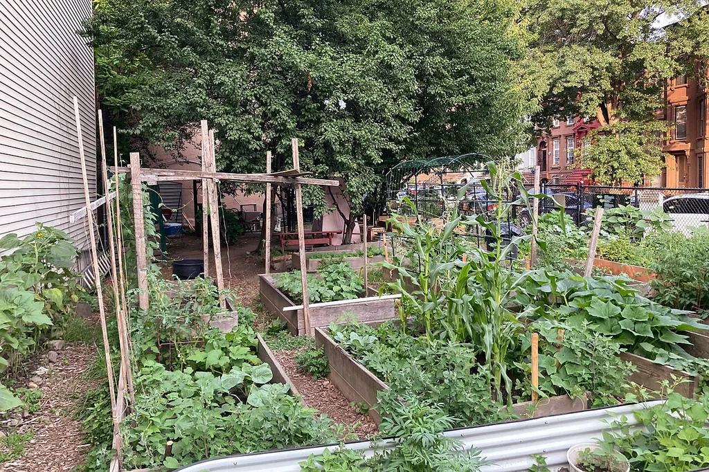 All People's Church of the Apostolic Faith Community Garden, Brooklyn, New York, US