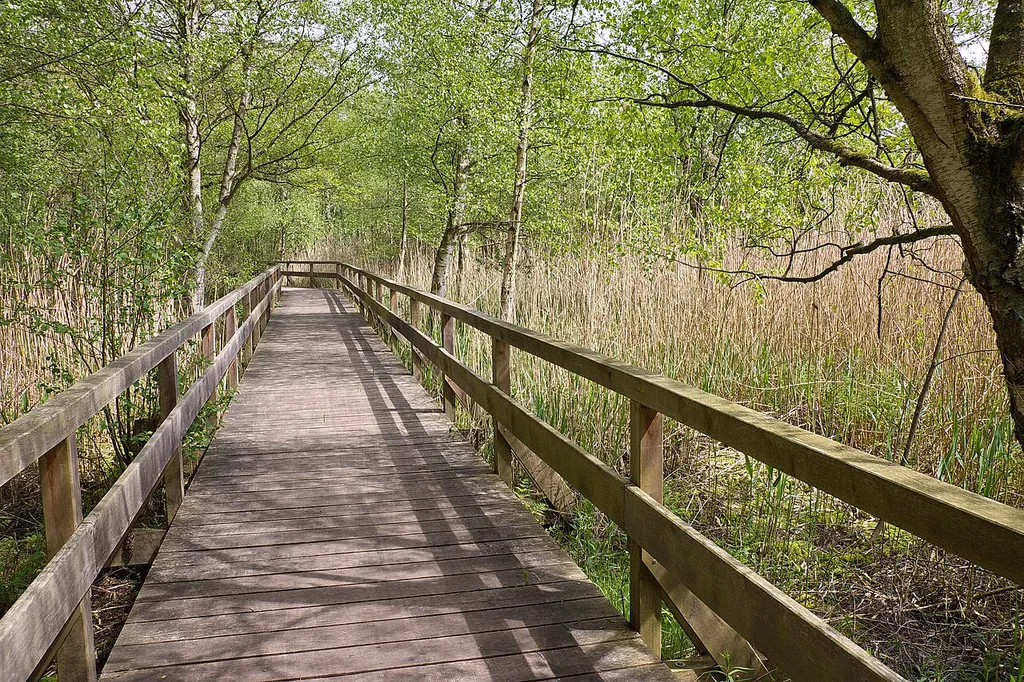 Landschaftsschutzgebiet Steinhuder Meer in Niedersachsen, Deutschland
