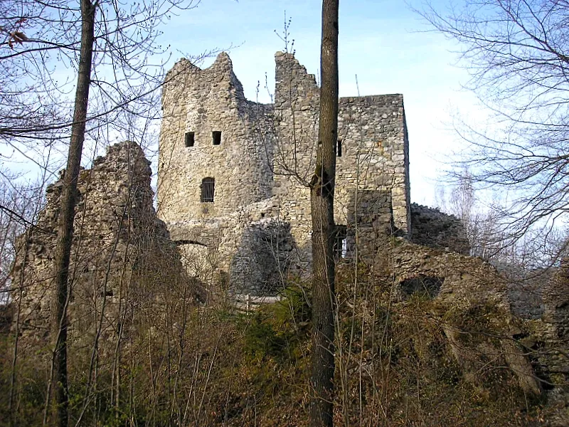 Burg Laubenbergerstein bei Immenstadt im Allgäu (Landkreis Ostallgäu). Die Burg von Süden. Eigene Aufnahme, April 2008 / Laubenbergerstein castle near Immenstadt (Landkreis Ostallgäu, Bavaria, Germany). The castle from the south. Own photo, April 2008