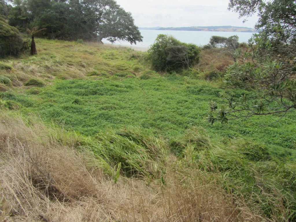Tawhitokino Regional Park