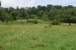 Kirdorfer Feld bei Bad Homburg