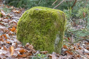 Grenzstein Untere Gemeinde in Fürth