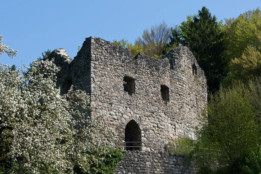 Burgruine Nünegg im Lieli (Hohenrain)