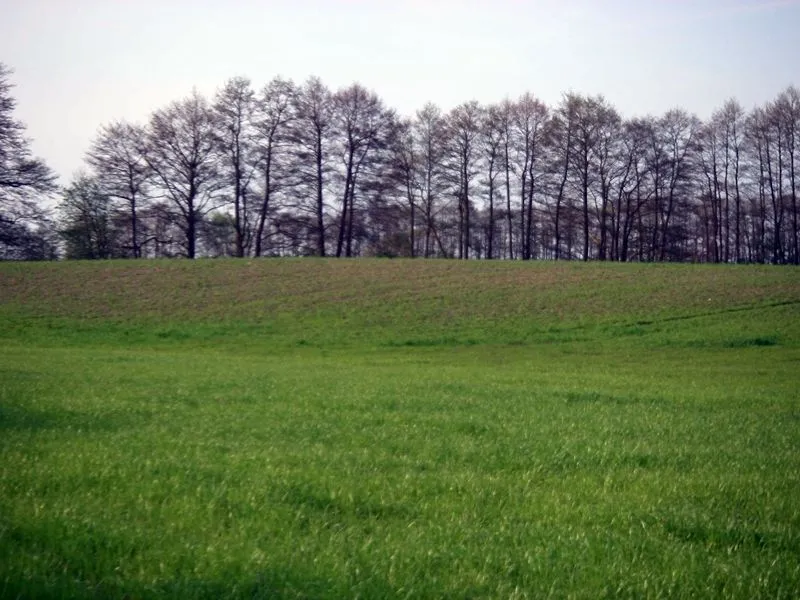 Burgwall Naugarten am östlichen Ortseingang