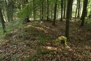 Burgstall Theuern