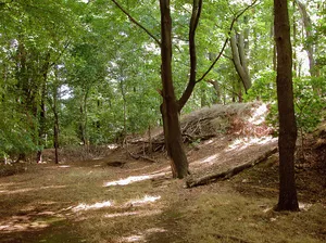 Burgwartsberg