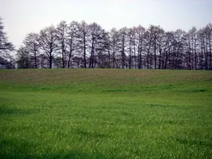 Niederungsburg Naugarten