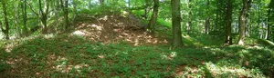 Burgstall Plankenstein (Velburg)