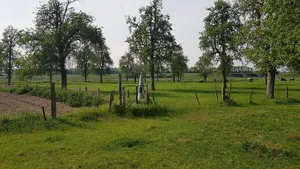 Belgium-Netherlands boundary stone no. 40