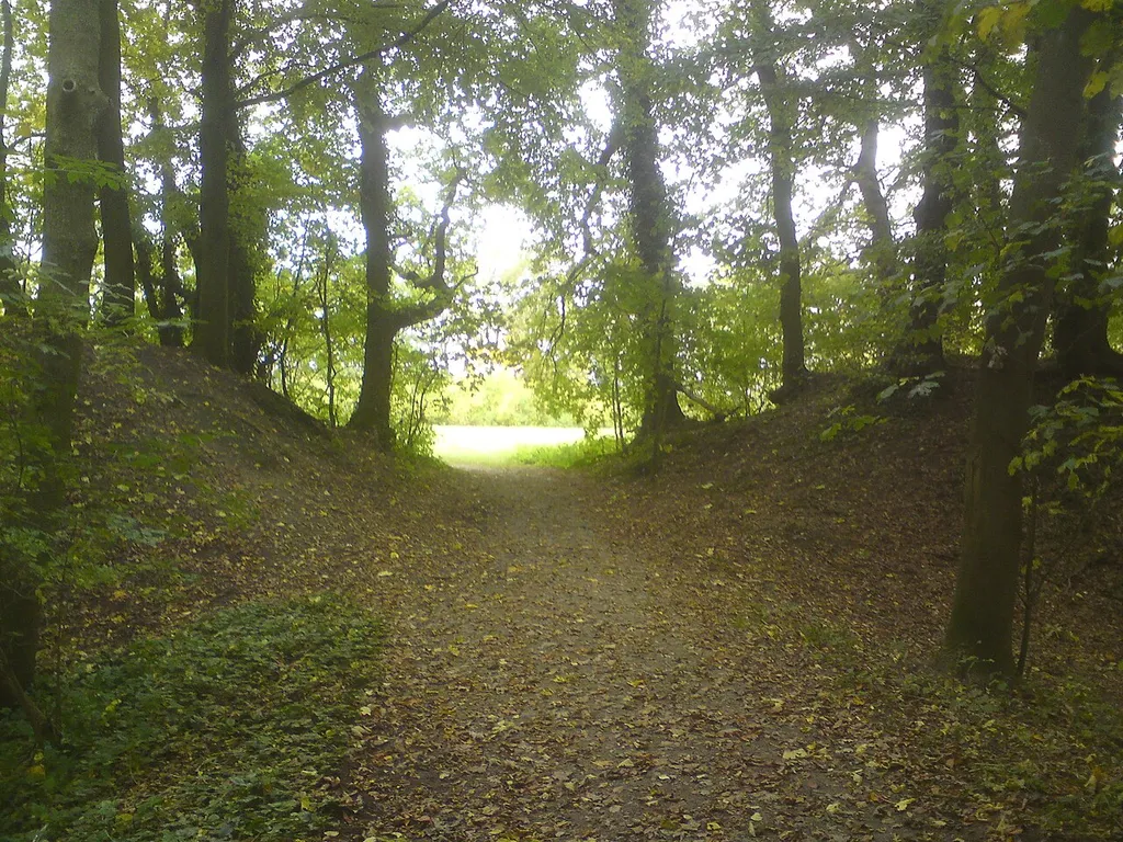 Burgwall Schnakenbek (Ertheneburg): Walldurchlass von Norden