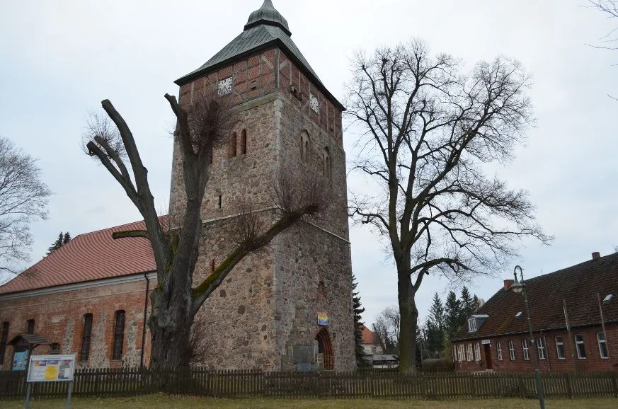 Groß Schönebeck, Winterlinde an der Kirche, Naturdenkmal 076-04