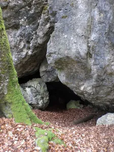 Trockental oberhalb Ammerthal mit Hainsburg