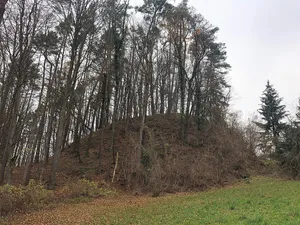 Burgstelle Radegg