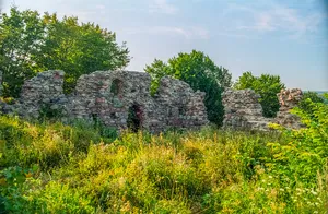 Kurzętnik Castle