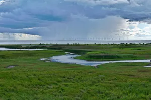 Bunkeflo strandängar